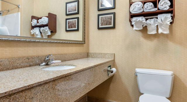 Двухместный люкс Comfort Suites Elkhart South