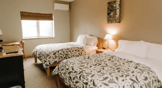 Standard Vierer Zimmer Adventure Inn