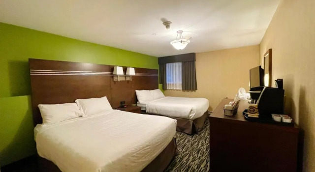 Четырёхместный номер Standard Цокольный этаж Fernie Stanford Resort