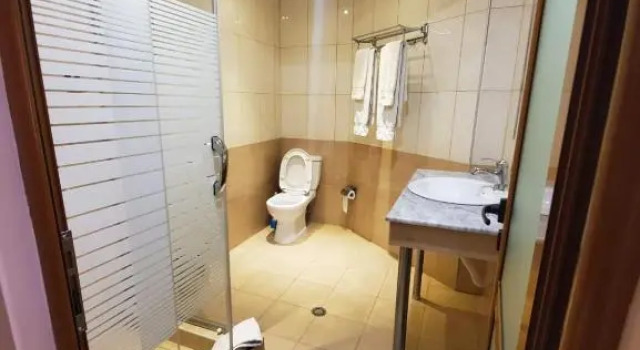 Четырёхместный номер Standard Hotel Alysa Korce
