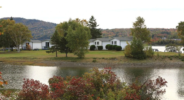 The Cove Cabins