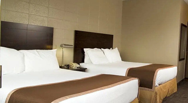 Четырёхместный номер Standard Sandstone Motel