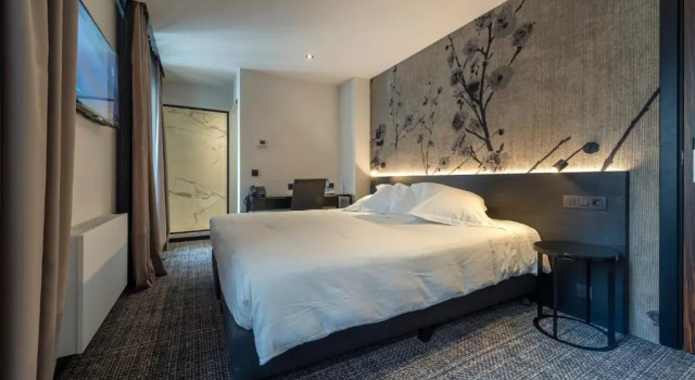 Двухместный номер Deluxe Hotel Monarc