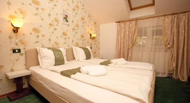 Pension Dinu Residence, Забронировать Отель Недорогие отели Тимишоары, рядом с Timisoara City Hall, недорого