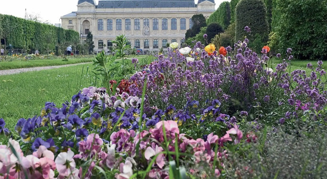 Libertel Austerlitz Jardin des Plantes