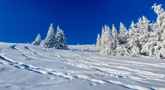 Апартаменты Ferienwohnungen Am Skilift