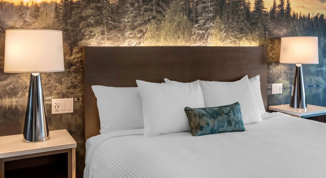 Двухместный люкс Отель Cambria Hotel Shelby Township - Detroit Utica