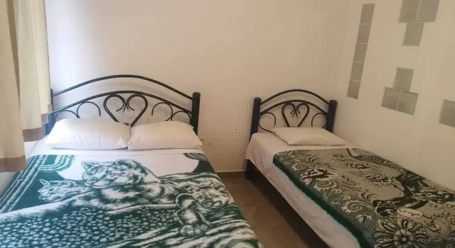 Номер Standard Hostal Maple