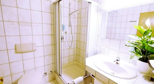 Номер Deluxe Hotel Pflug