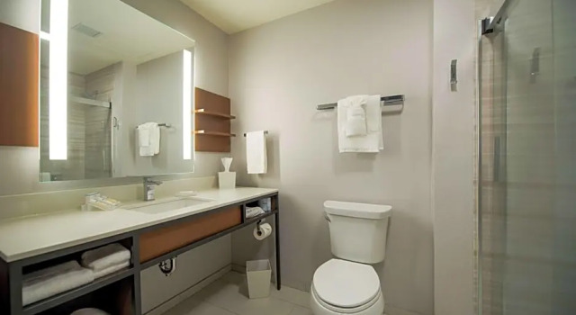 Четырёхместный номер Premium Hilton Garden Inn Wausau, WI