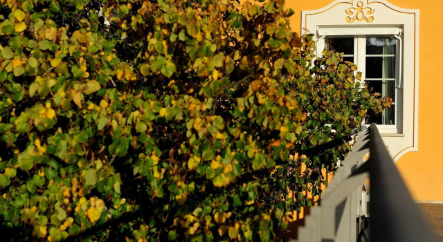 Cabecas do Reguengo, Prenota Agriturismo Hotel a Alentejo con piscina, Piscina