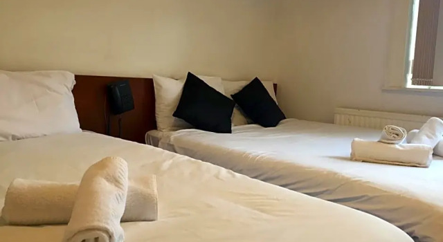 Номер Standard Healey Hotel