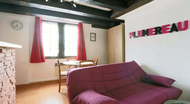 Апартаменты Splendide T2 view on #PlacePlumereau #Tours