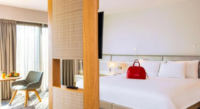 Люкс c 1 комнатой с красивым видом из окна Radisson Blu Hotel Bordeaux
