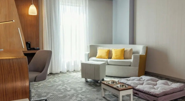 Двухместный номер Standard Courtyard by Marriott Mexicali