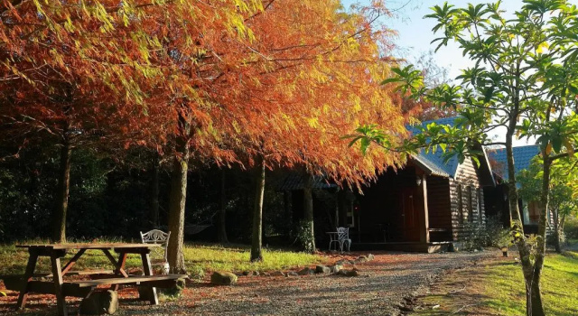 Deluxe Chalet Green Forest Villa