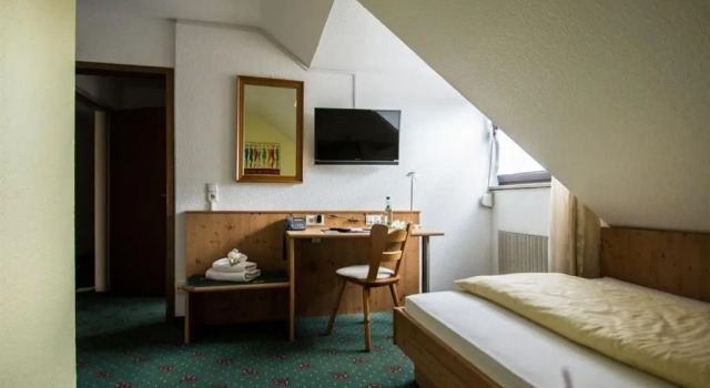 Одноместный номер Standard Hotel Avenue Altenfurt