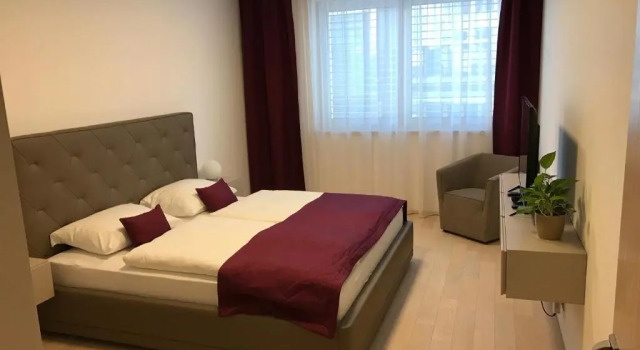 Deluxe Apartmán Rezidence Muzeum
