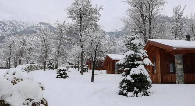 Шале c 1 комнатой Lazy Bee Camping Village