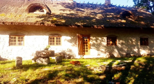 Номер Standard Paali cottages