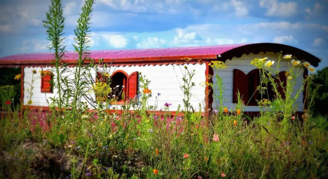 Номер Standard La Buissonnière Lodges