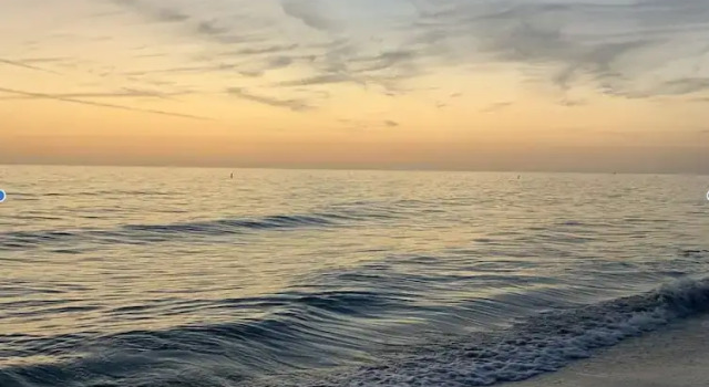 Номер Standard Meant to Bee on AMI managed by Beach Retreats
