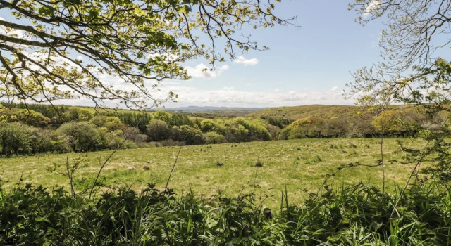 Kulübe Ripple