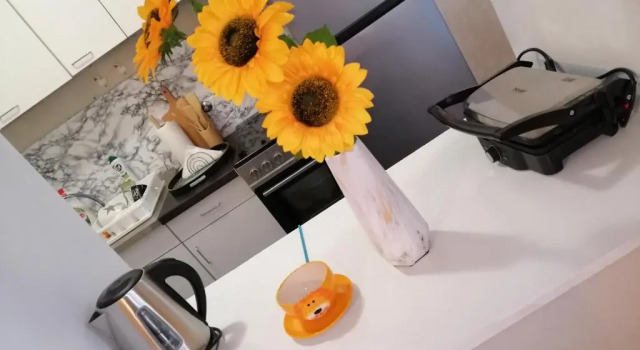 Апартаменты Star Apartment Belgrade