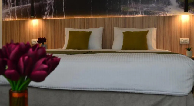 Номер Deluxe YMY Boutique Residence