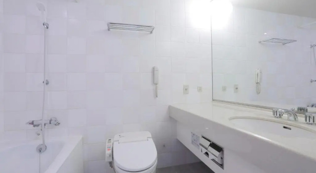 Двухместный номер Superior Dai-ichi Hotel Ryogoku