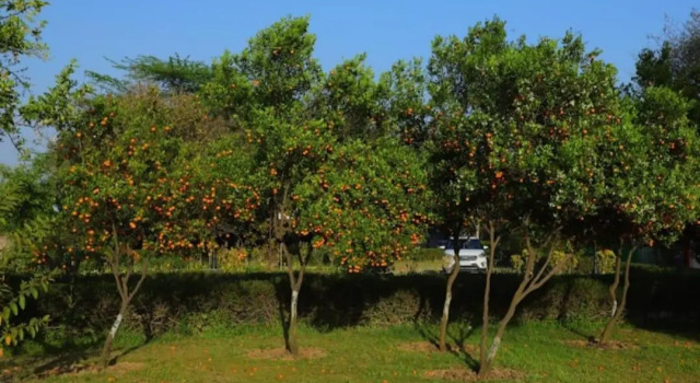 Haritma Resort