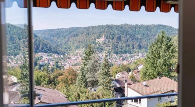 Joe's Apartments, Reserva ahora Apartamento Hoteles en Baden-Wurtemberg con piscina, Piscina