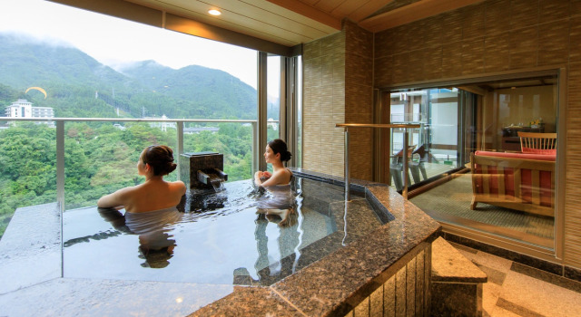 Номер Standard Kinugawa Hotel Mikazuki