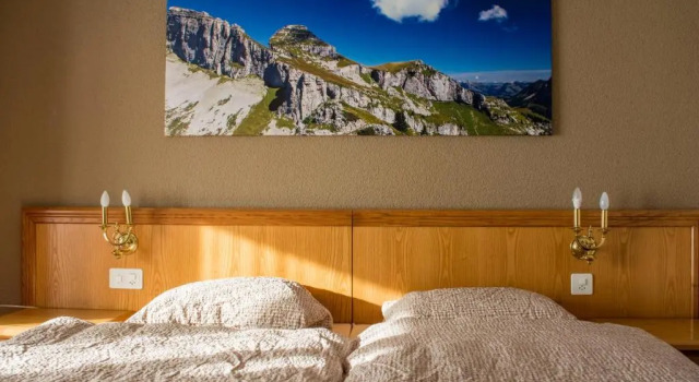 Номер Standard Alpine Classic Hotel