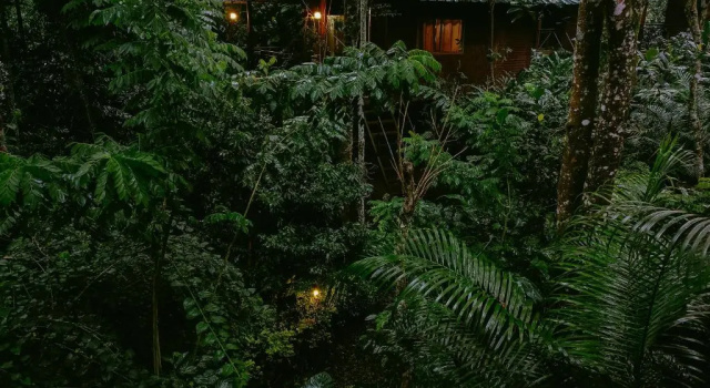 Номер Deluxe Monsoon Retreats by DAAN