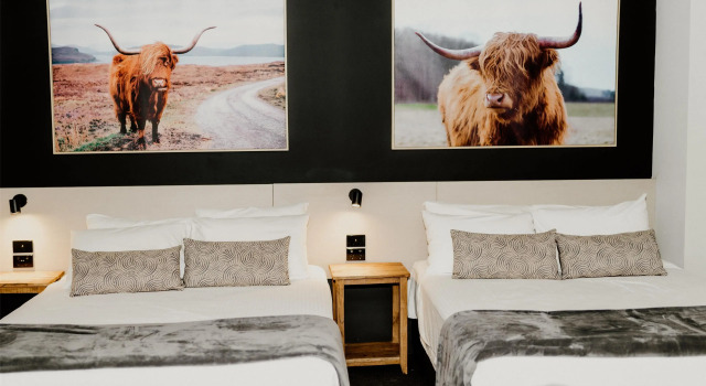 Четырёхместная студия Nightcap at Barkly Hotel
