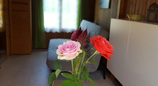 Charming Bungalow With Garden in Kühlungsborn