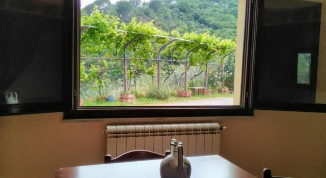 Апартаменты Deluxe Villaggio dei Balocchi