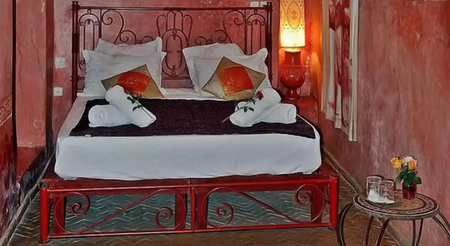 Camera Standard Riad Amiris