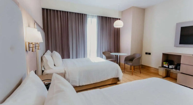 Четырёхместный номер Standard Hilton Garden Inn Silao Aeropuerto Bajio