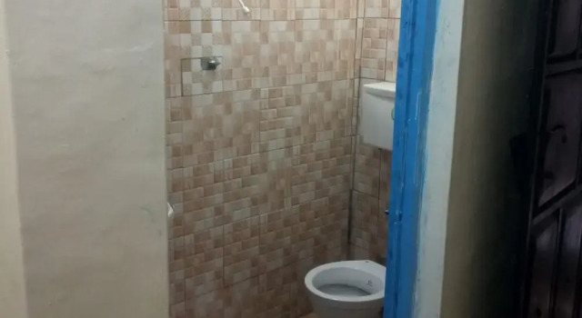 Standart oda Tausi Bar & Lodging