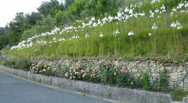 Appartamento e Camere Cerreta - Carro, Rezerwuj Apartament Carro Liguria