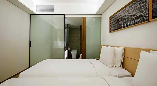 Двухместный номер Executive Sotetsu Hotels The Splaisir Seoul Myeongdong