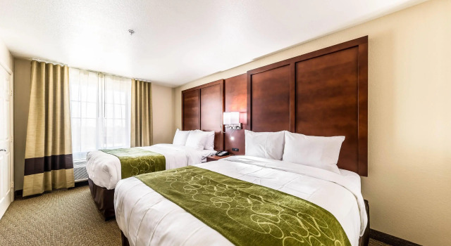 Четырёхместный люкс Comfort Suites Grand Prairie - Arlington North