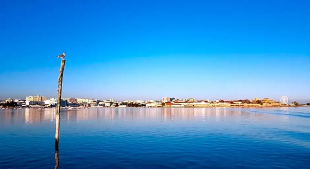 Hostel A Casa da Árvore, Забронировать Хостел Хостелы Фару, рядом с Театр A Companhia de Teatro do Algarve, Хостел