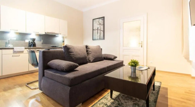 Appartamento Apartment Lindengasse