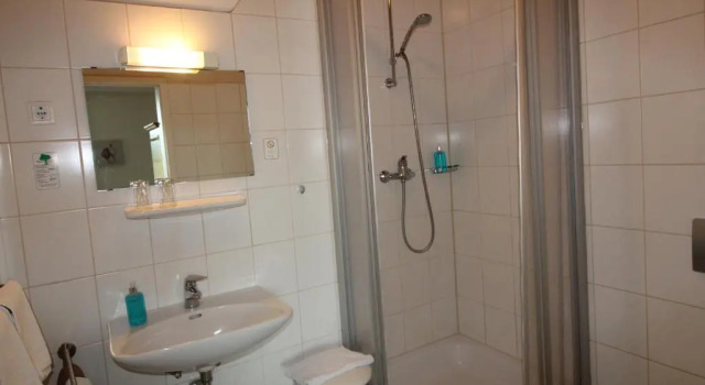 Camera doppia Standard Hotel-Gasthof Opel