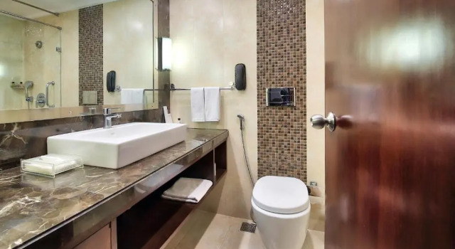 Двухместный номер Superior Radisson Jaipur City Center