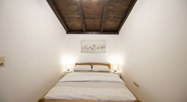 Apartment Maslina