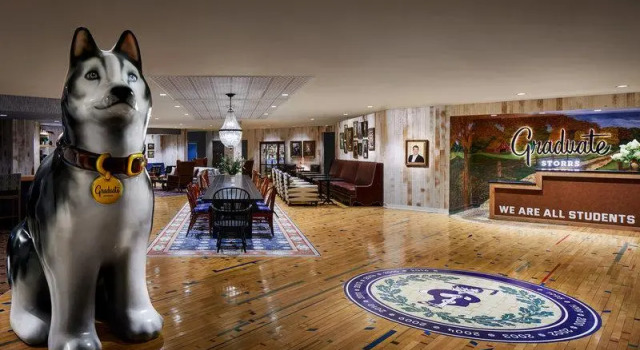 Номер Executive Graduate by Hilton Storrs